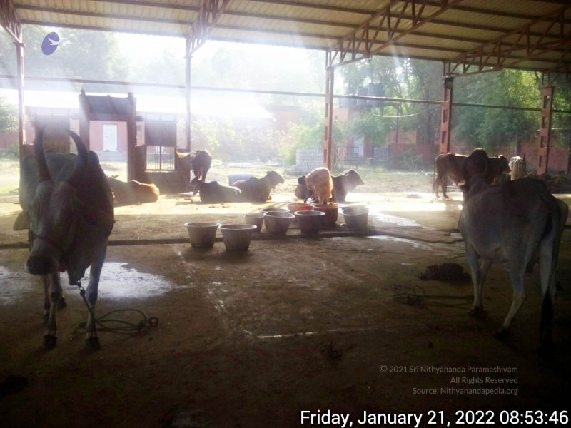 File:20220121 085345 11.jpg