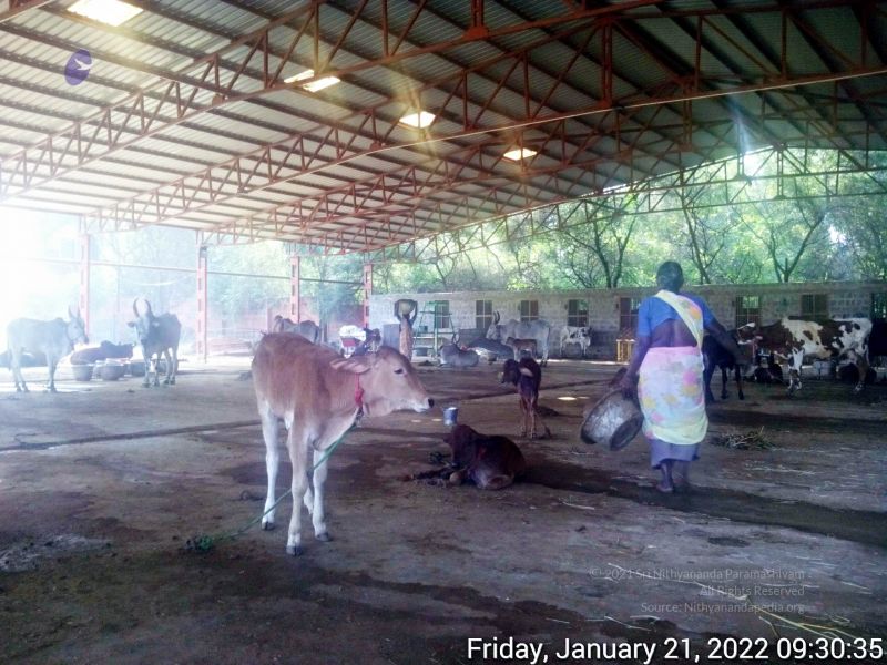File:20220121 093034 11.jpg