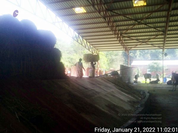 20220121 110200 11.jpg