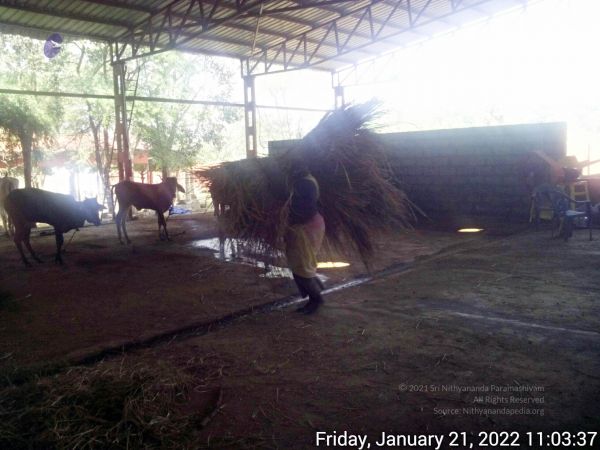 20220121 110336 11.jpg