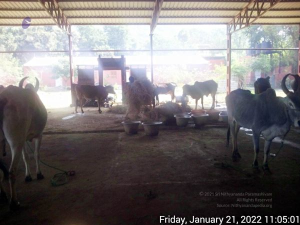 20220121 110500 11.jpg