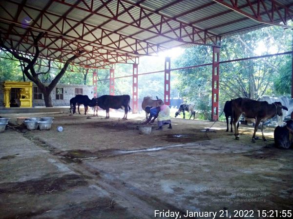 20220121 152154 11.jpg