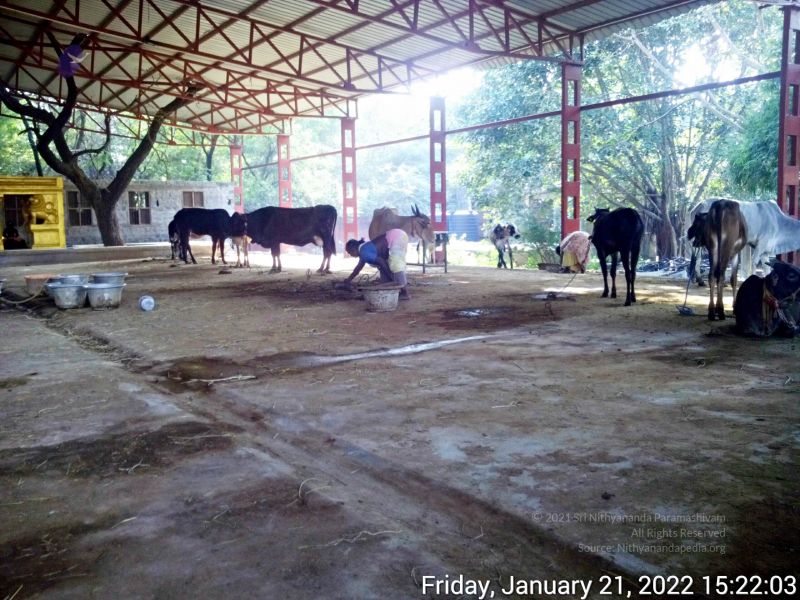 File:20220121 152202 11.jpg