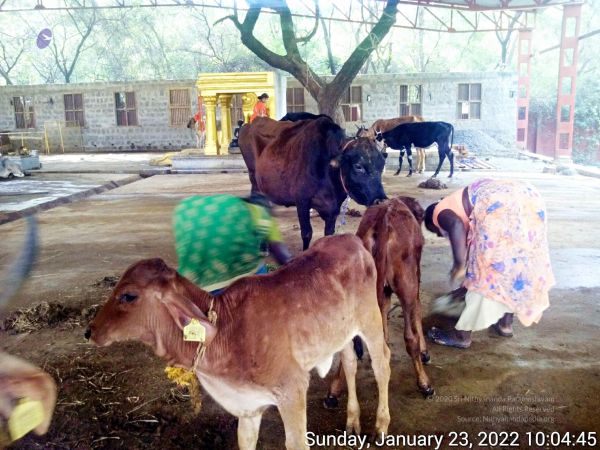 20220123 100444 11.jpg