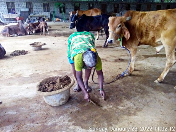 20220123 110212 11.jpg