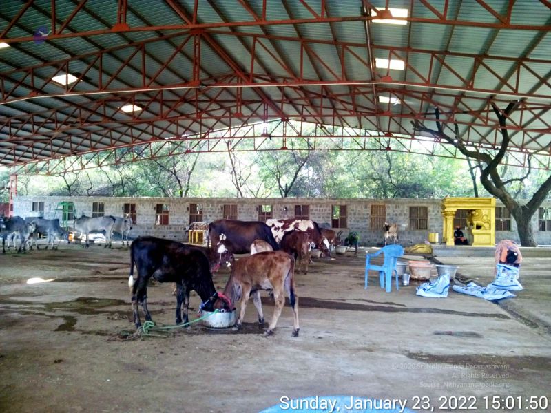 File:20220123 150149 11.jpg