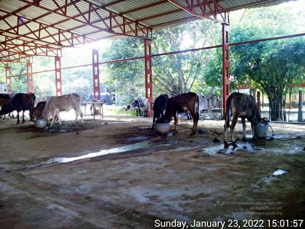 20220123 150156 11.jpg