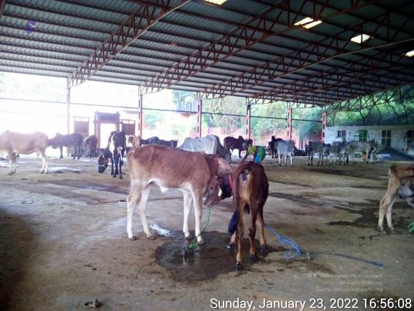 20220123 165607 11.jpg