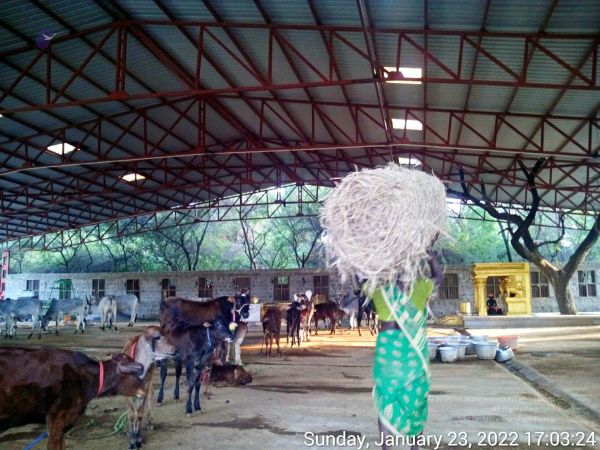 20220123 170323 11.jpg