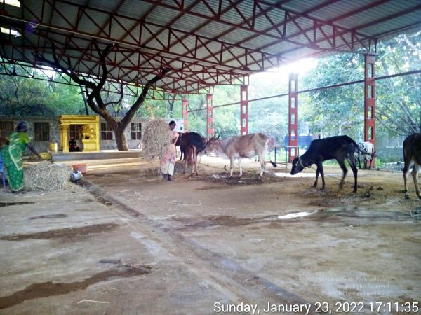 20220123 171134 11.jpg