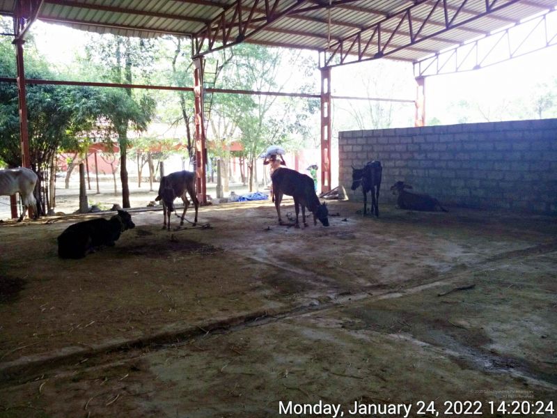File:20220124 142023 11.jpg