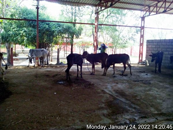 20220124 142045 11.jpg