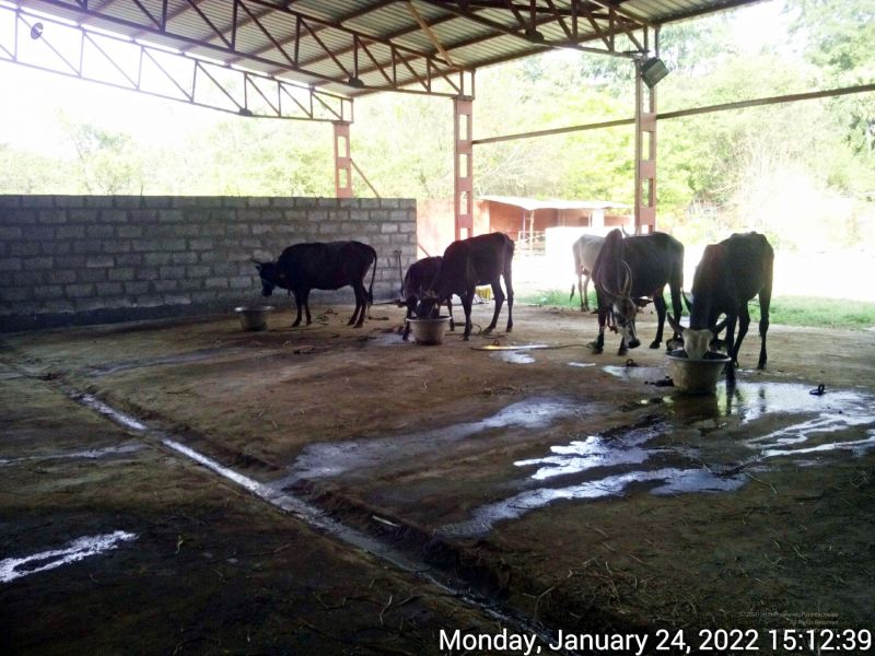 File:20220124 151239 11.jpg