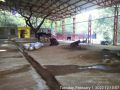 Thumbnail for version as of 15:31, 2 February 2022