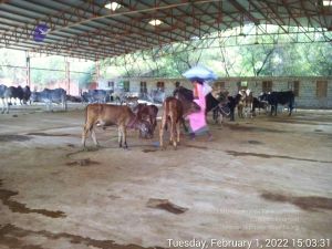 20220201 150331.jpg