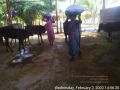 Thumbnail for version as of 12:01, 3 February 2022