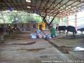 Thumbnail for version as of 14:38, 7 February 2022