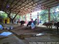 Thumbnail for version as of 14:38, 7 February 2022