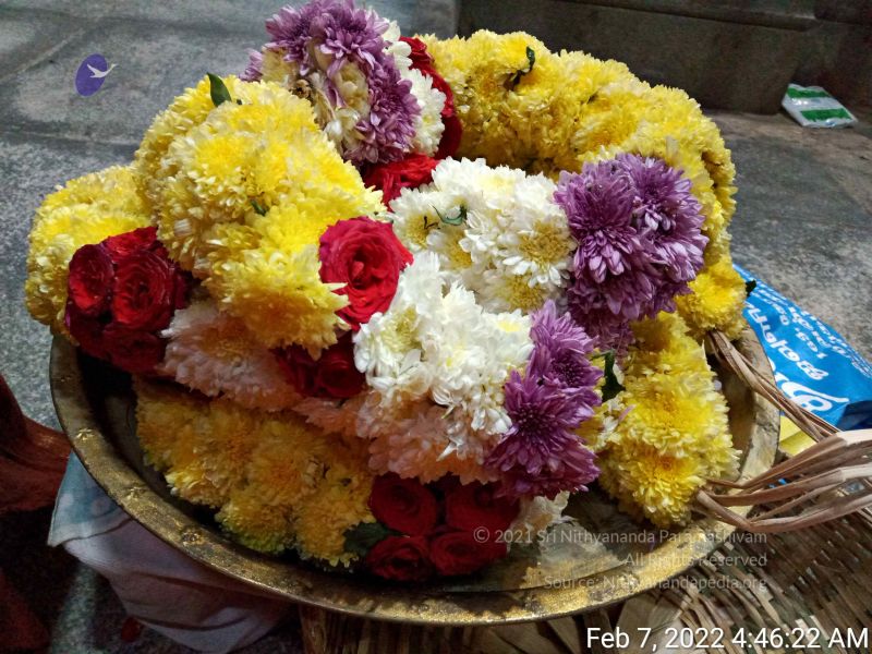 File:20220207 044622.jpg