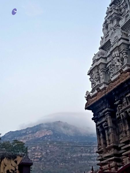 File:20220207 064020.jpg