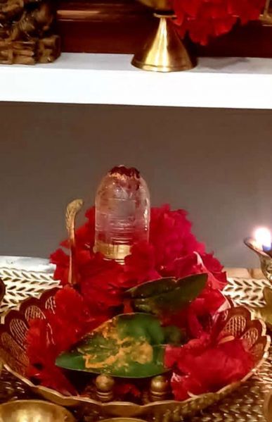 File:20220224 1000 274234021 FB.jpg