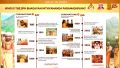 Thumbnail for version as of 23:16, 4 October 2022