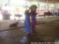 Thumbnail for version as of 15:14, 29 March 2022