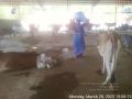 Thumbnail for version as of 15:14, 29 March 2022