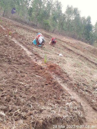 20220328 kacharapattu2022-03-29 at 1.49.30 PM (1).jpg