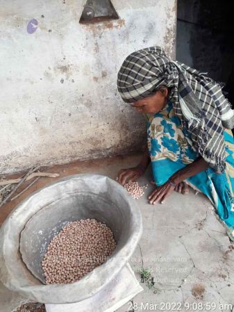 20220328 kacharapattu2022-03-29 at 1.49.31 PM.jpg