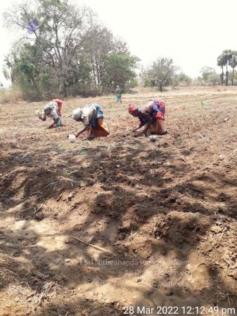 20220328 kacharapattu2022-03-29 at 1.49.32 PM (1).jpg