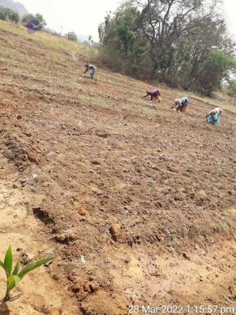 20220328 kacharapattu2022-03-29 at 1.49.33 PM.jpg