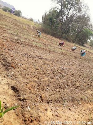 20220328 kacharapattu2022-03-29 at 1.49.34 PM.jpg