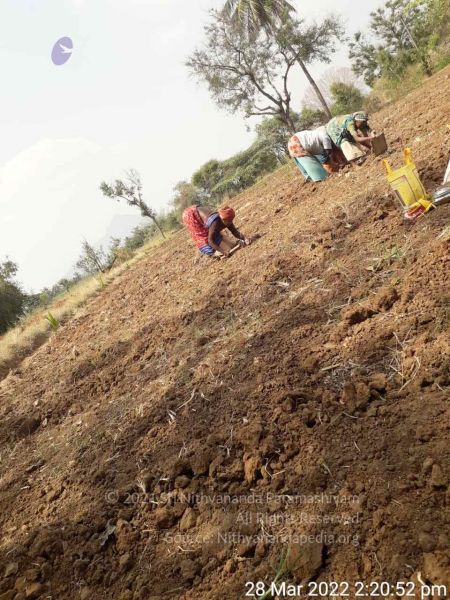 File:20220328 kacharapattu2022-03-29 at 1.49.36 PM.jpg