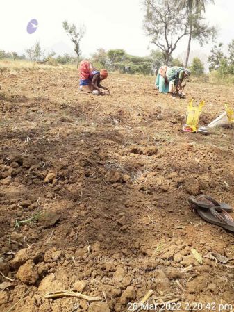 20220328 kacharapattu2022-03-29 at 1.49.36 PM (1).jpg