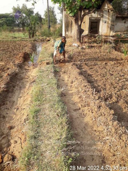 File:20220328 kacharapattu2022-03-29 at 1.49.37 PM.jpg