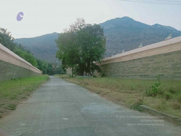 20220328 templevisit 3.jpg