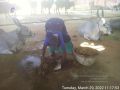 Thumbnail for version as of 15:17, 29 March 2022