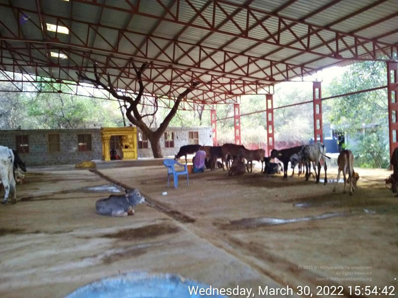 File:20220330 155441.jpg