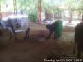 Thumbnail for version as of 08:16, 29 April 2022