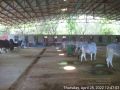 Thumbnail for version as of 08:16, 29 April 2022