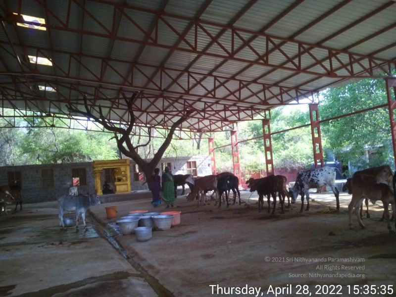 File:20220428 153534.jpg
