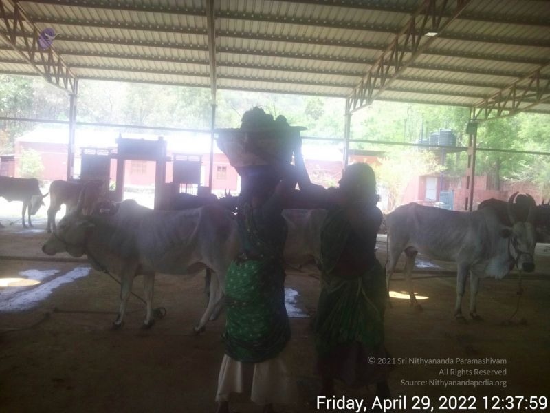 File:20220429 123758.jpg