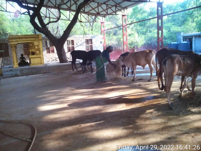 File:20220429 164125.jpg