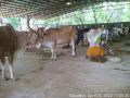 Thumbnail for version as of 16:36, 1 May 2022