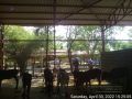 Thumbnail for version as of 16:36, 1 May 2022