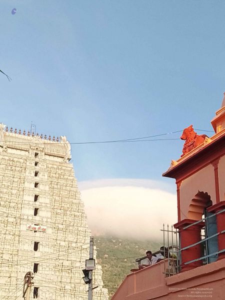 File:20221203 070012.jpg