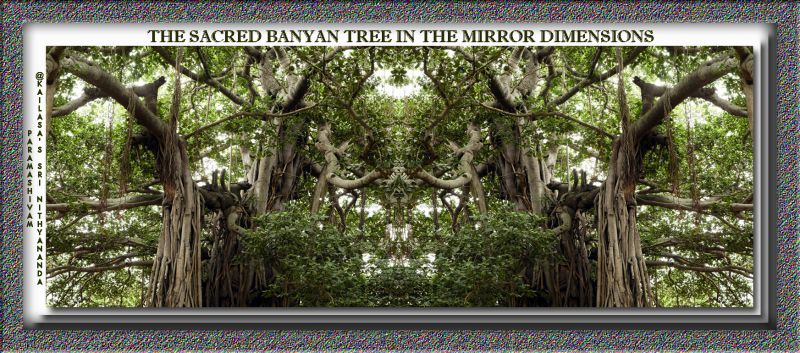 File:20230702 1000 357508530 FB.jpeg