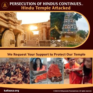 20230817 1002 366086721 FB.jpeg