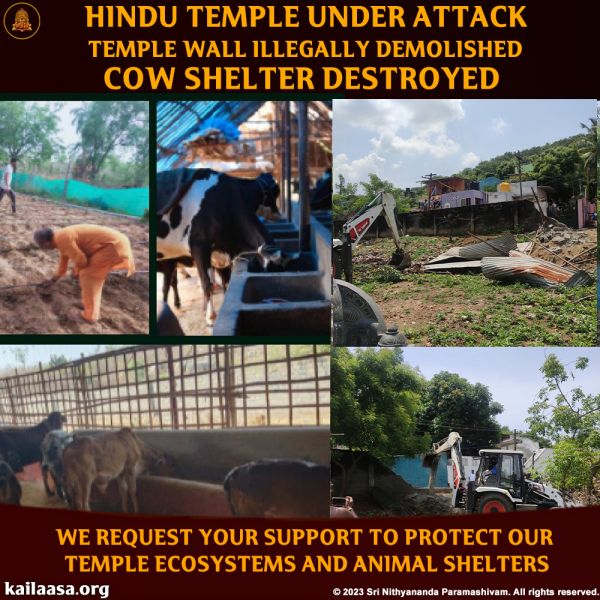 File:20230817 1005 366081342 FB.jpeg